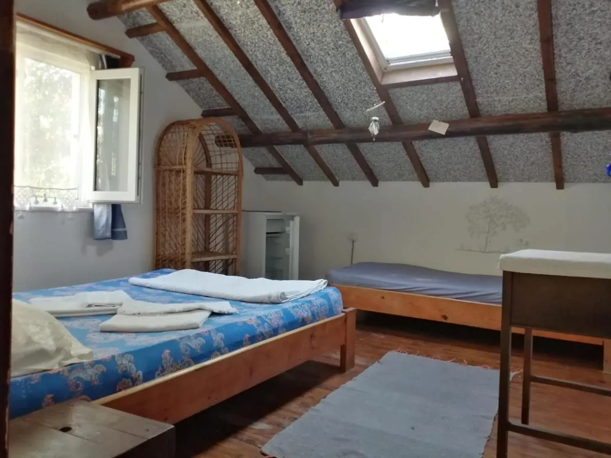 Ecer Pansiyon Kusadasi Homestay