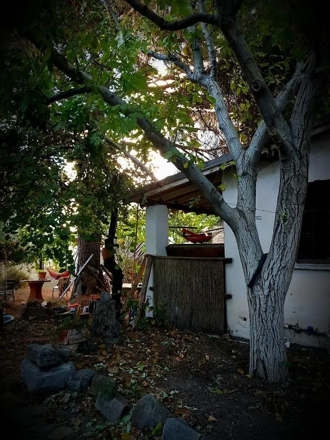 Ecer Pansiyon Kusadasi Homestay