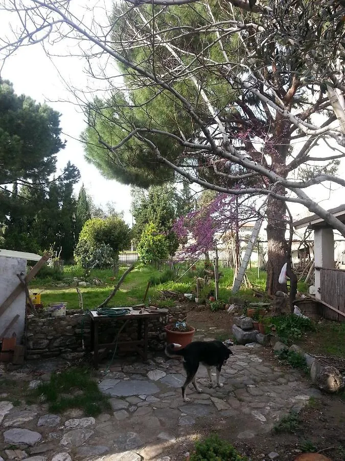 Ecer Pansiyon Kusadasi